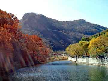 天天彩好彩天天免费，氯仿价格